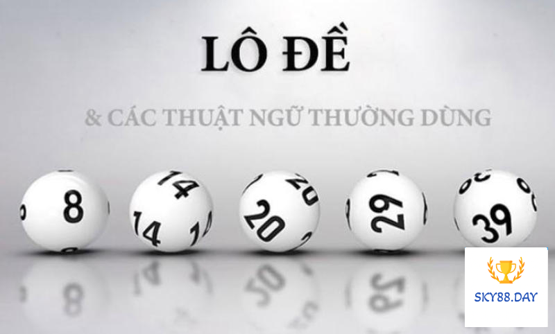 Thuật ngữ soi cầu 
